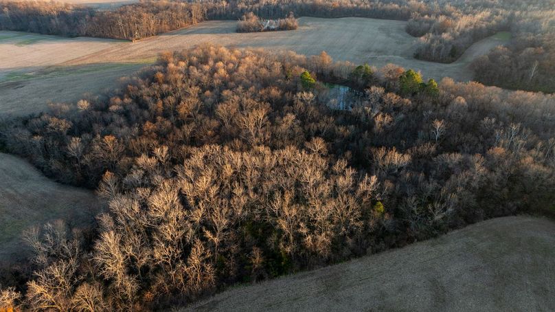 DJI_20251208160252_0026_D