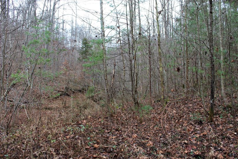 017 the valley floor just inside the west boundary when entering the property