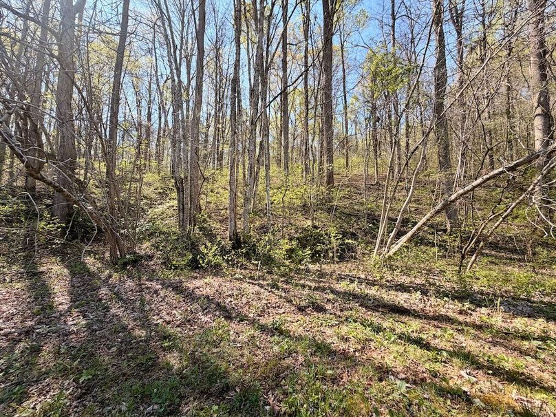 Monroe Co TN 44.66 Bolton_093