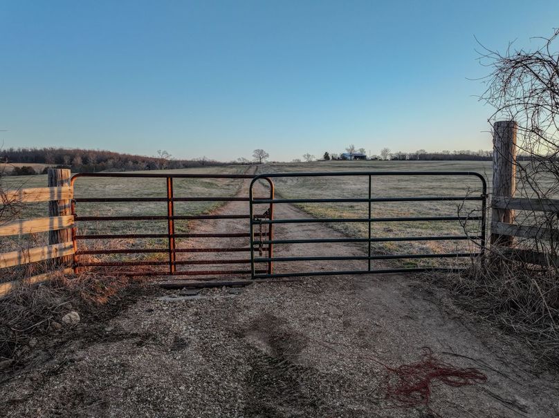 DJI_20250311073353_0140_D