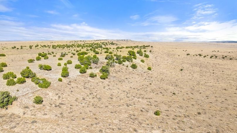 DJI_20251015124538_0151_D