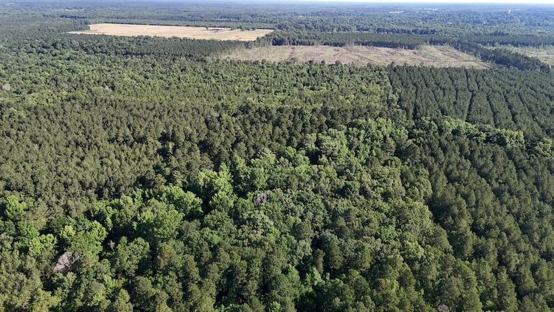 Copy of DJI_20250531220223_0581_D