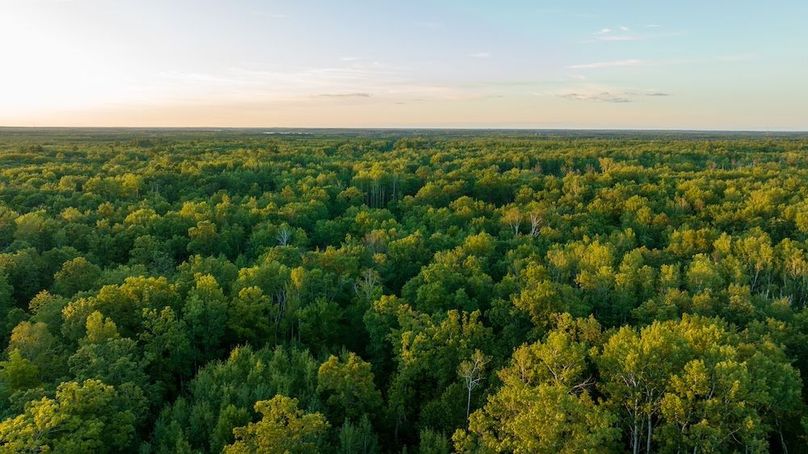 Cass MN 1095 Featured ProPhoto-114