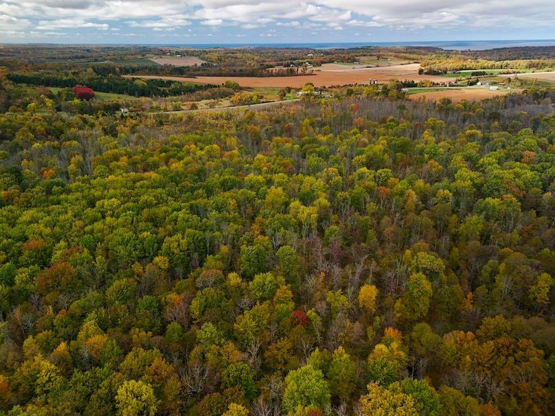 Wayne_29.09_BD_LandParcel_23