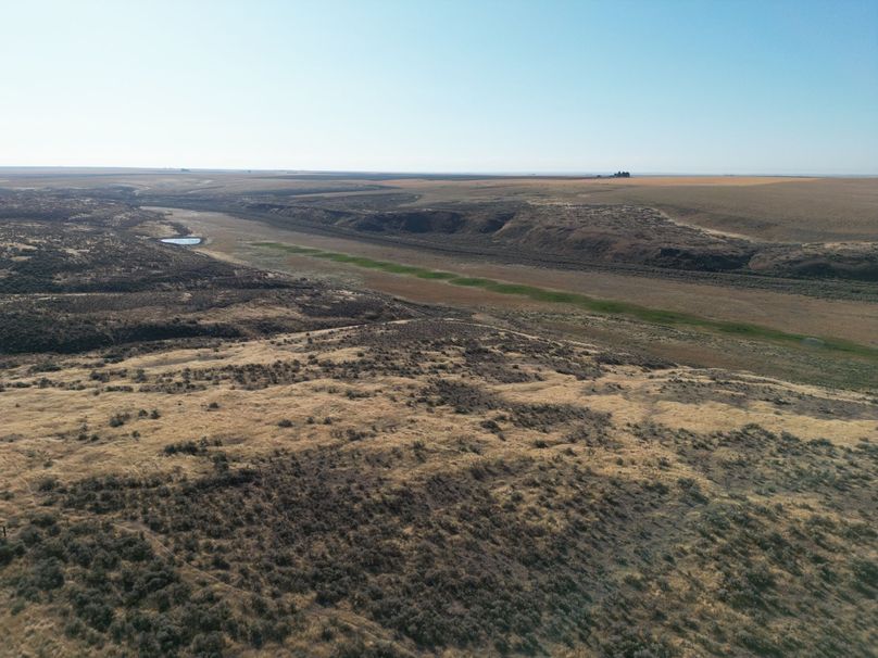 #29 view of the property from the NE