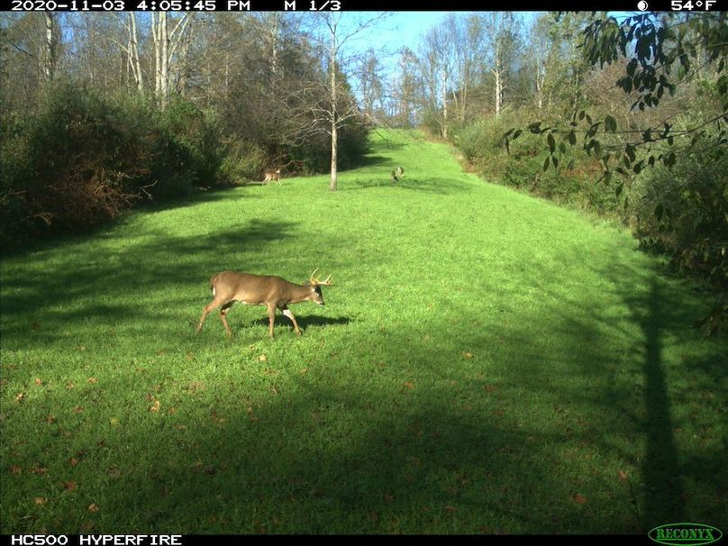 2020-11-03 16-05-45 M 1_3