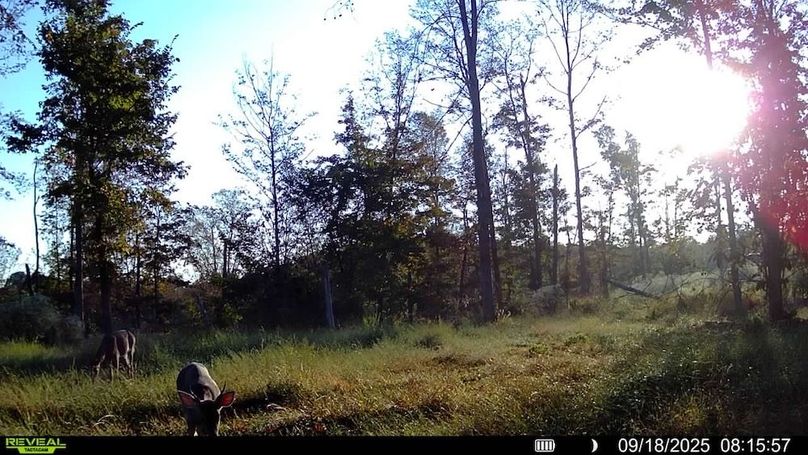 016578004352834-100-3-09182025081557-SYFW00166