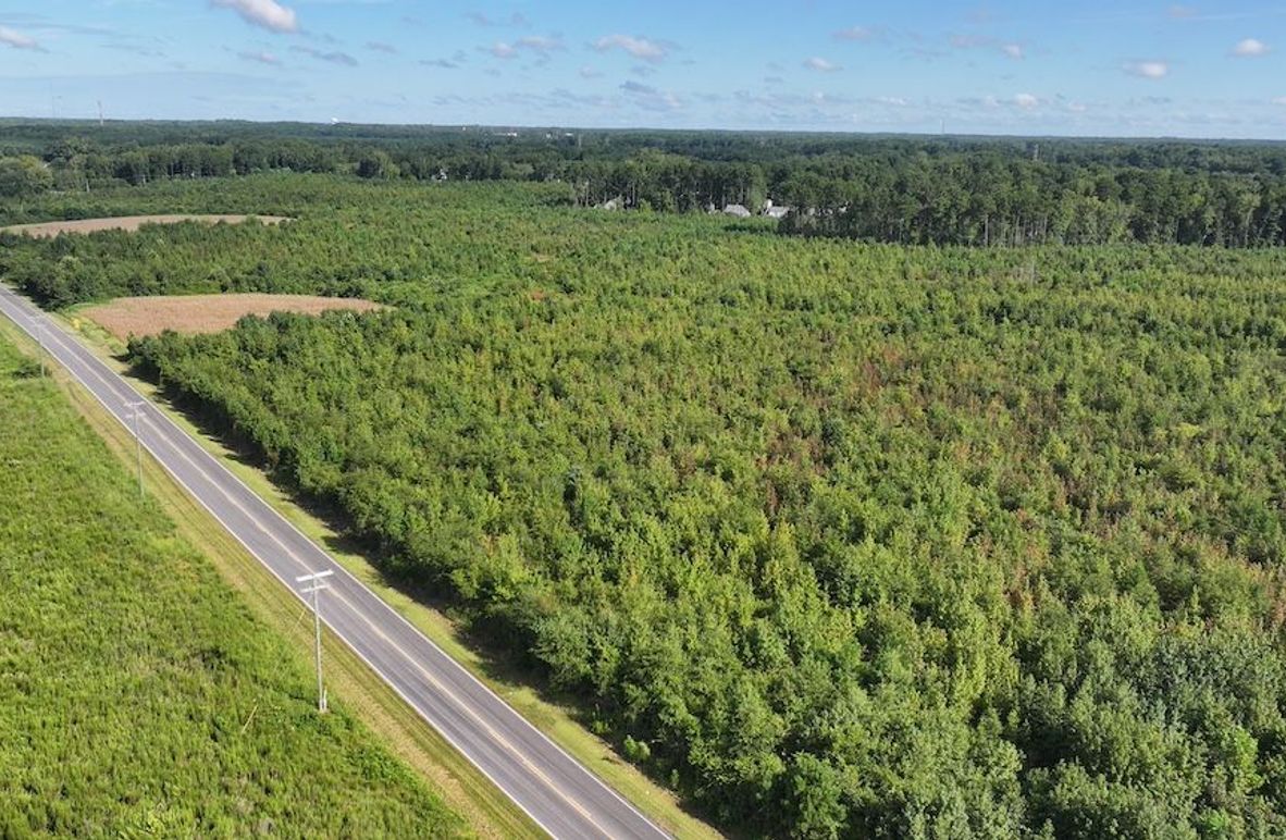 DJI_20250821015103_0237_D