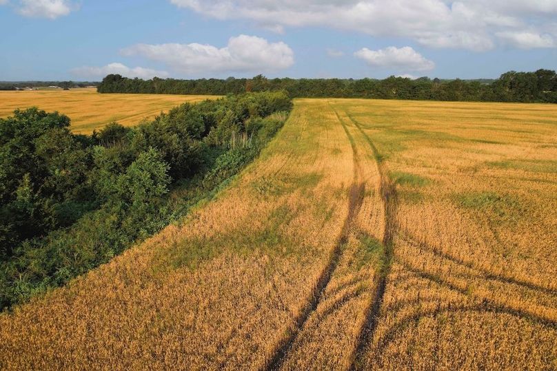 Lamar County- 92.66 Acres (13 of 29)