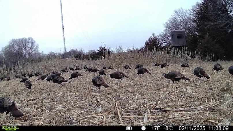 TRAIL CAM 21