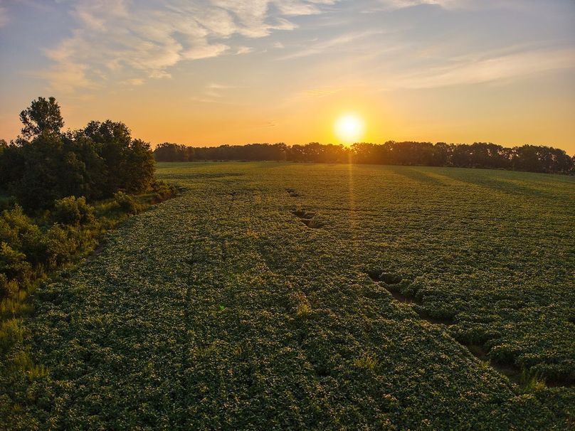 DJI_20250823071039_0925_D