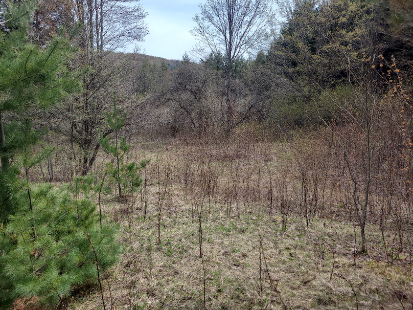 photo_873bb37f-ab17-4036-9c38-41241e3962db