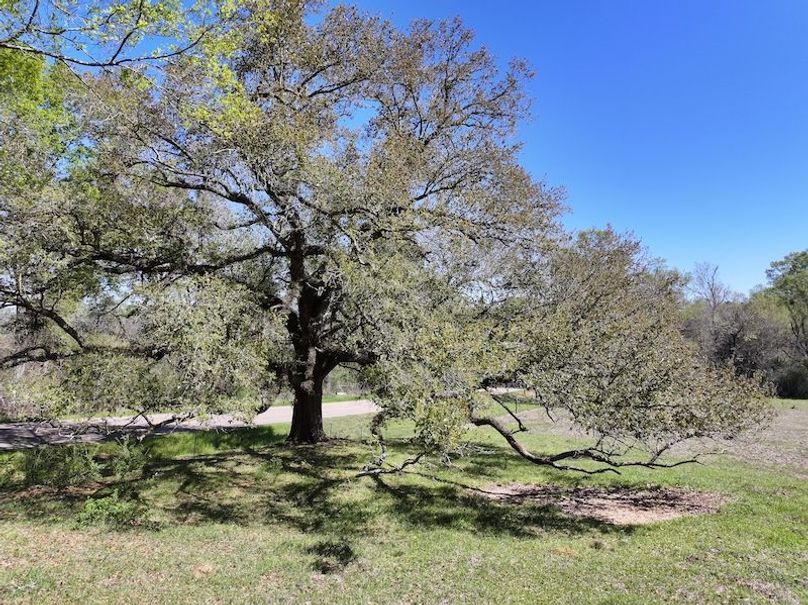 dji_fly_20260317_095522_0425_1773768868344_photo