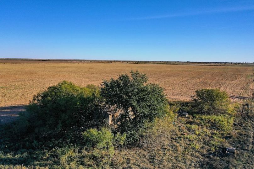 org_adfa59e9ced51a5a_1762730690000