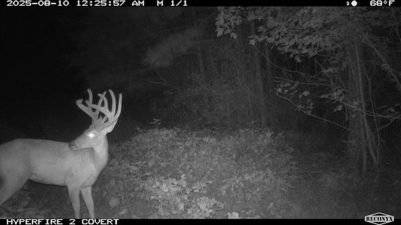 TwinStatesTrailCam31