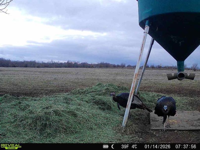 860516064952926-100-3-01142026073756-W1063493