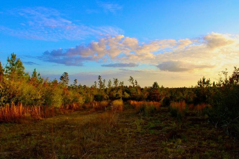 C1D208F4-C02D-46E3-BA8A-9B19320B89C9_1_201_a