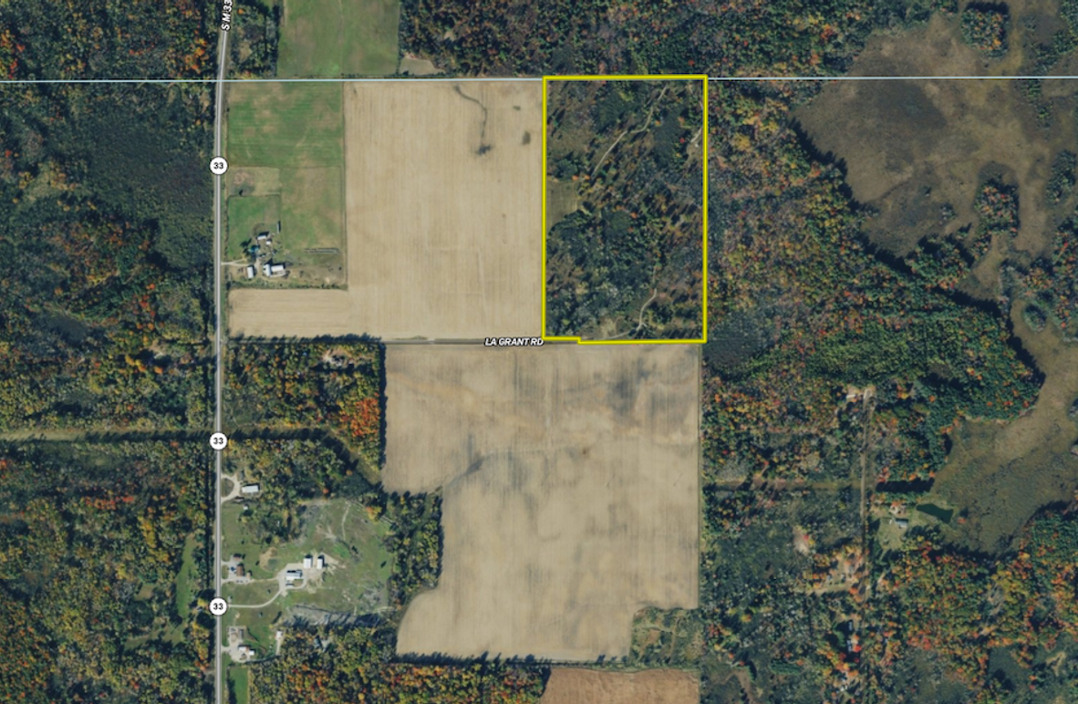 Aerial001_Luther_68.92_Arenac