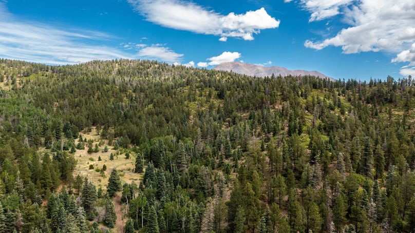 Copy of Los Alamos 508 6-24 Drone-31