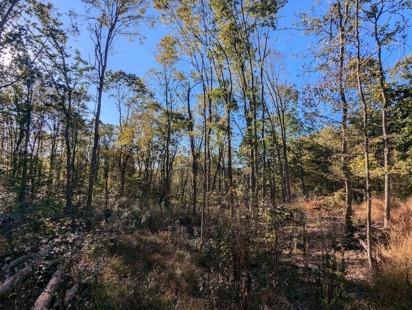 PXL_20251001_205929386