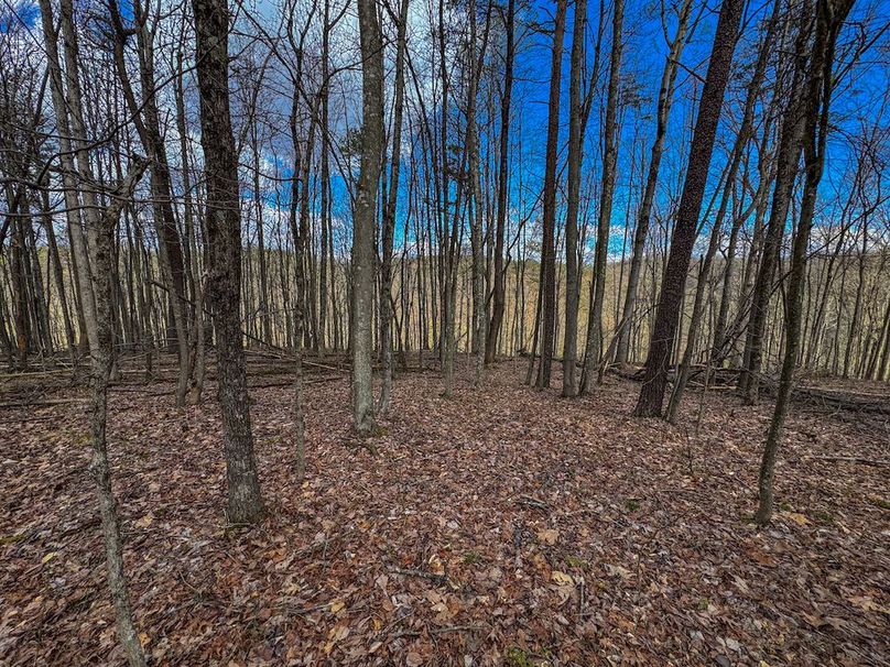 Wirt, WV 62.5 AC Full-22