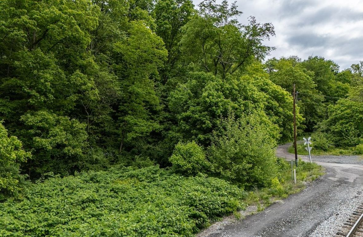 DJI_20250524075925_0380_D