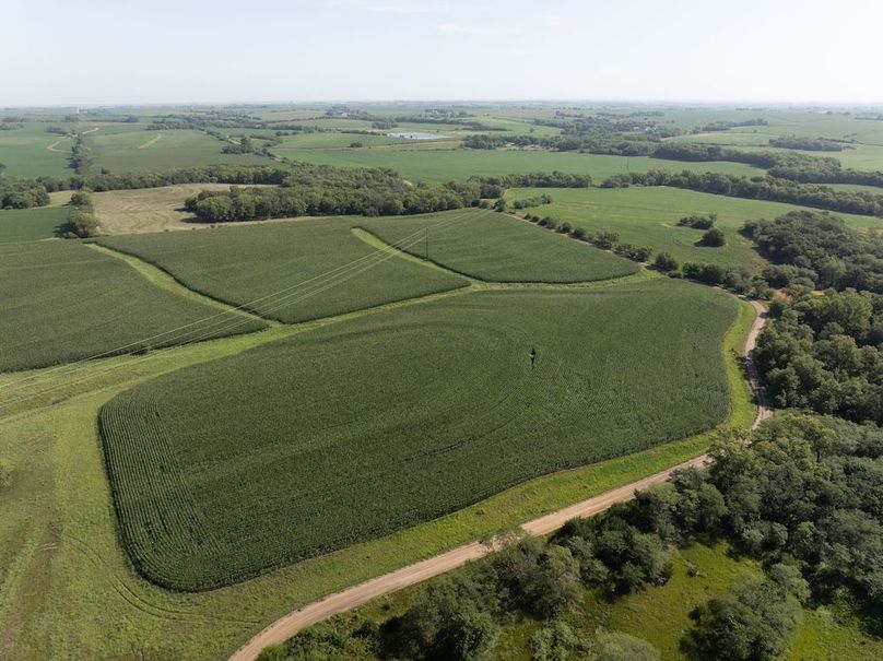 DJI_20250729094950_0011_D