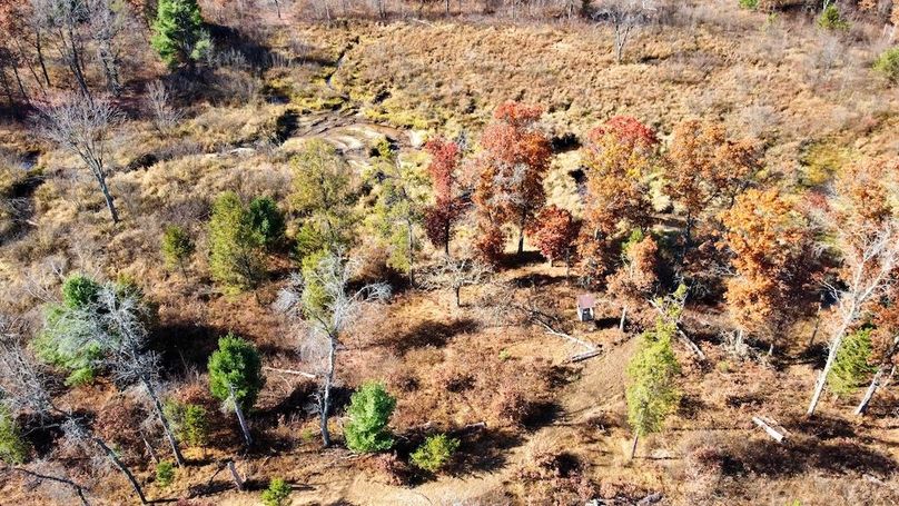 dji_fly_20241024_130838_500_1730406244622_photo_optimized