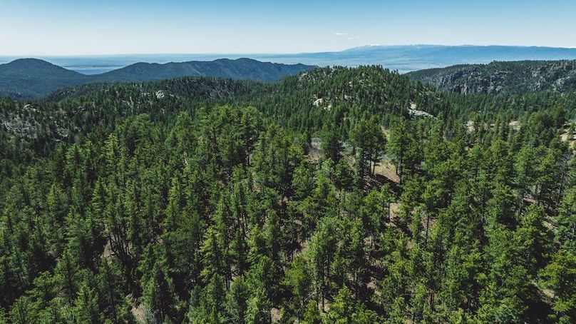 DJI_20240517125226_0073_D