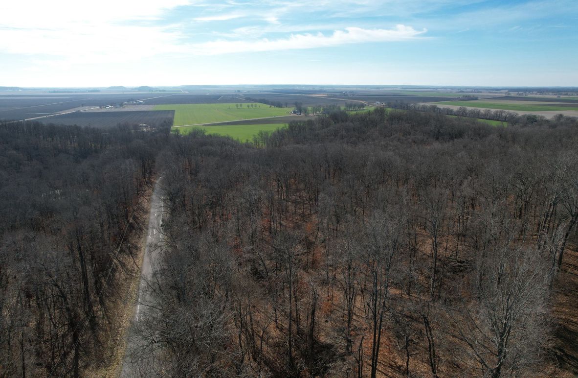 DJI_0385