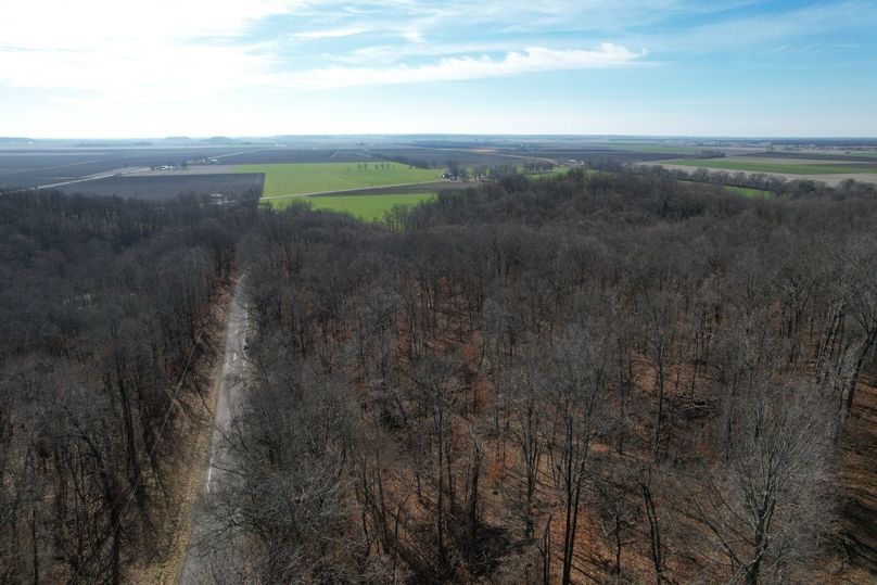 DJI_0385