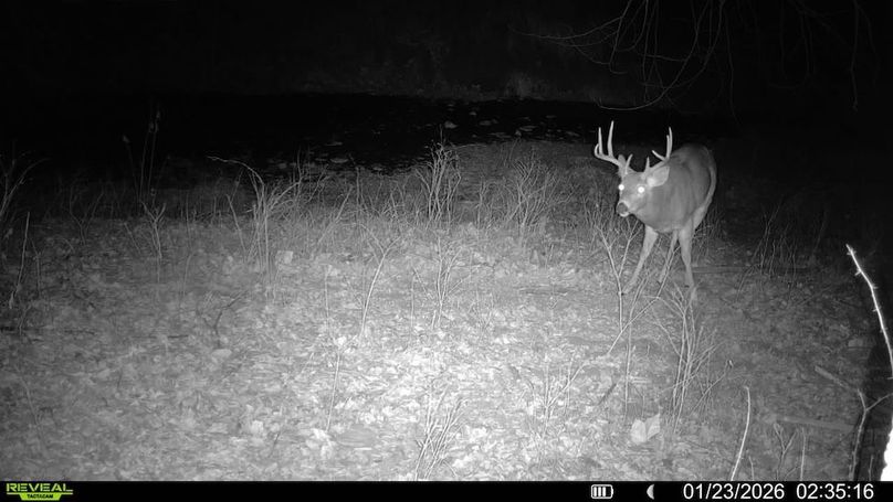 016579007722387-69-3-01232026023516-V-SYFW07629