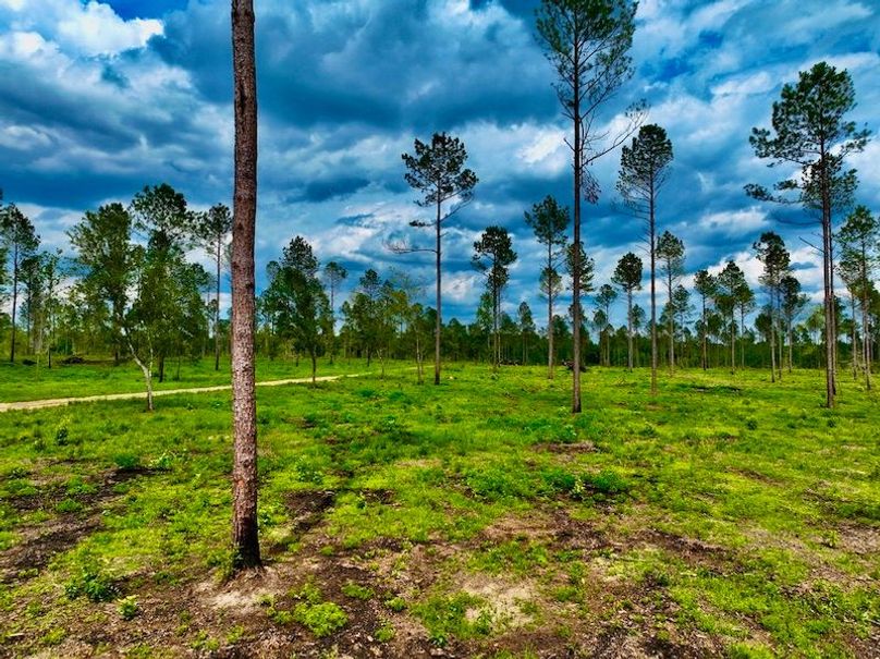 DCA7B36F-AC40-4DB6-ADA7-2C559D21CF26_1_105_c