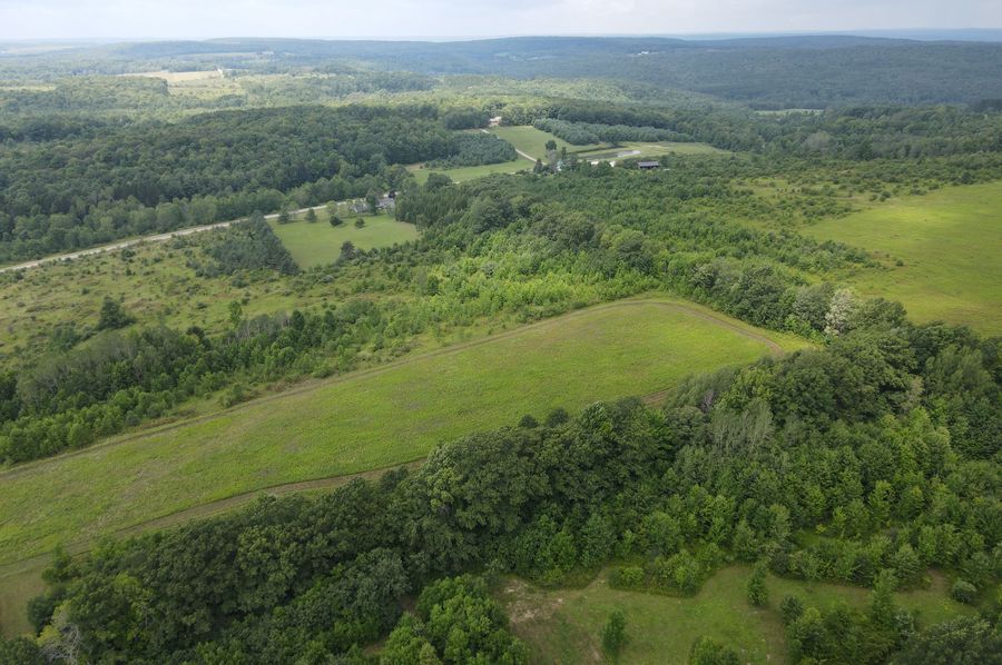 dji_fly_20230809_115424_760_1691596581889_photo - Copy