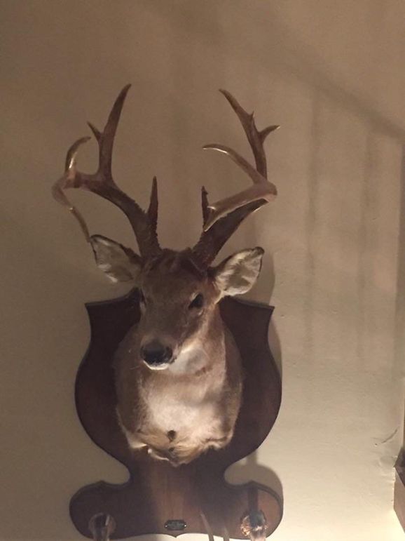 trail cam and harvest18