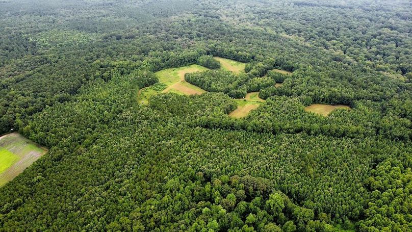 dji_fly_20250802_101152_569_1754143923857_photo_optimized