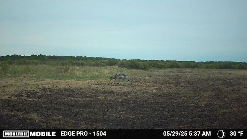 image639020103385983300