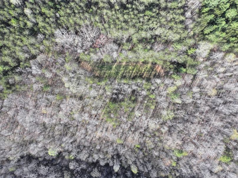 dji_fly_20260330_094310_0722_1774966028462_photo