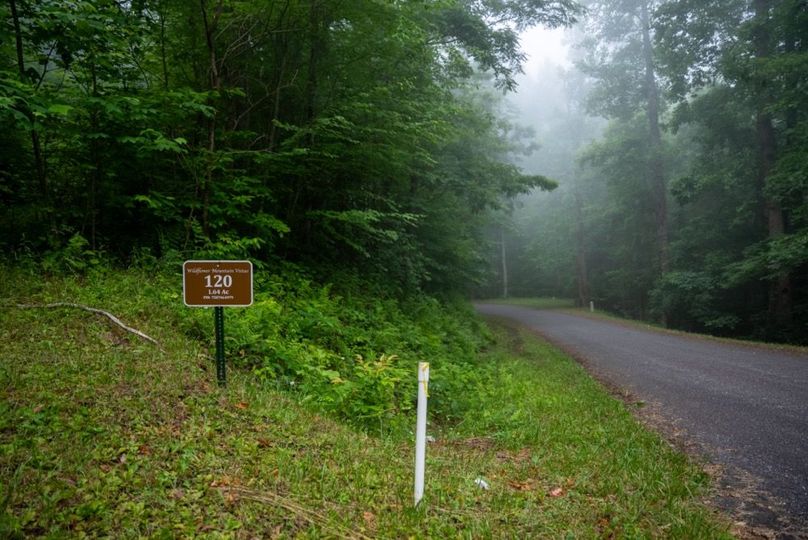 23 Featured_ProPhoto-64