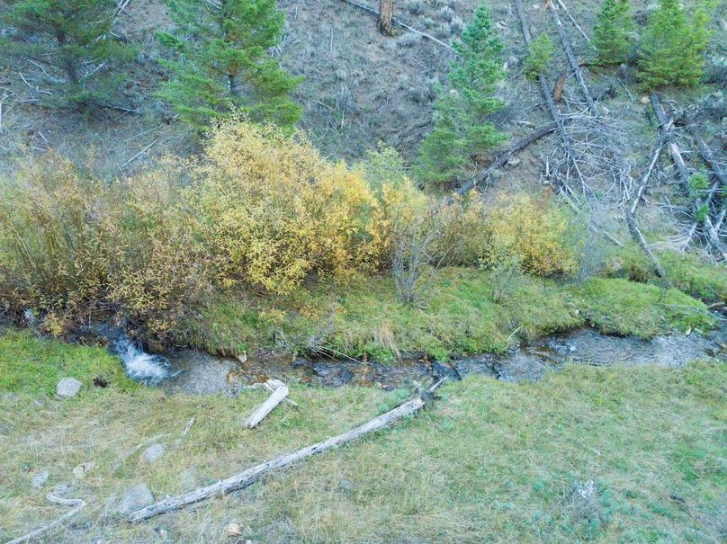 20240925-DJI_0119