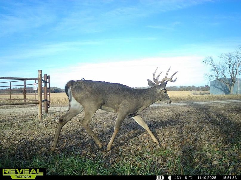 860322065433796-100-4-11112025013807-HD-SYEW3939