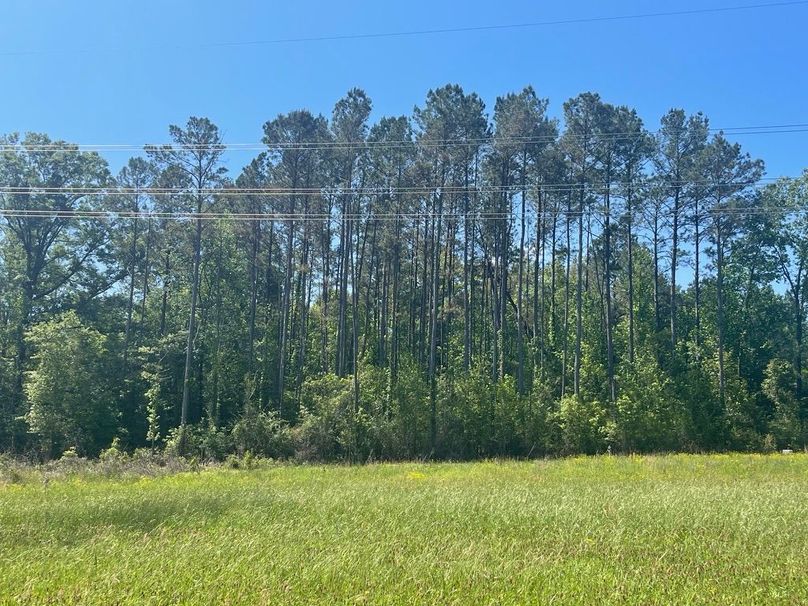 3D2F6985-82D8-4575-9C0C-0A6CBA25F7CA_1_105_c