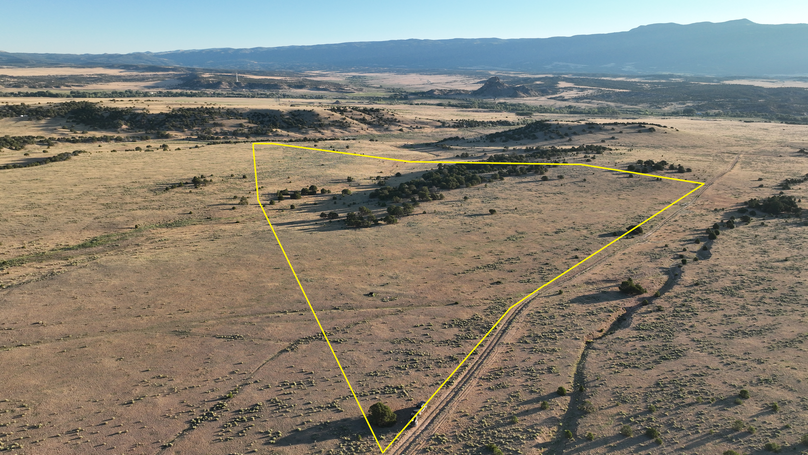 DJI_0837