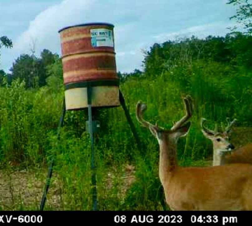 Screenshot_20230808_181406