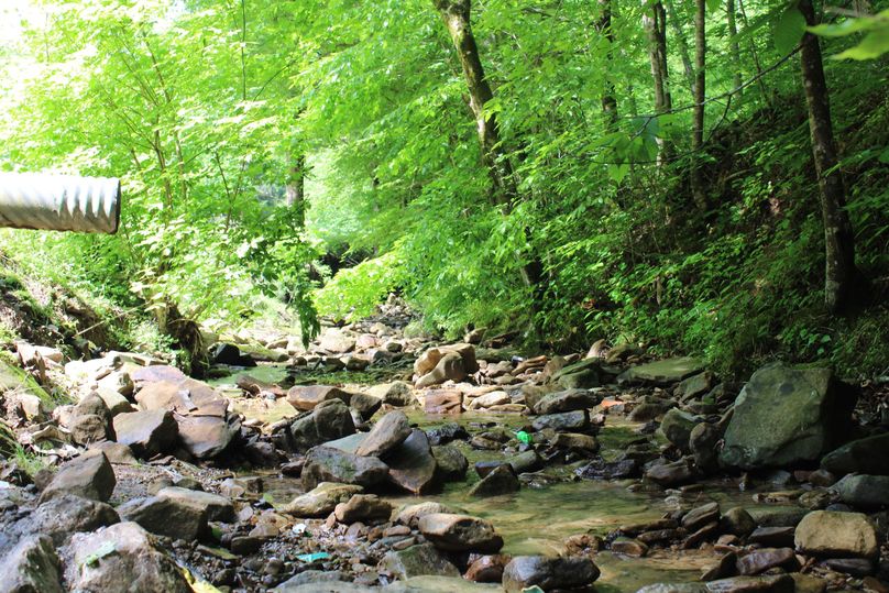 010 gorgeous waters of Mill Creek