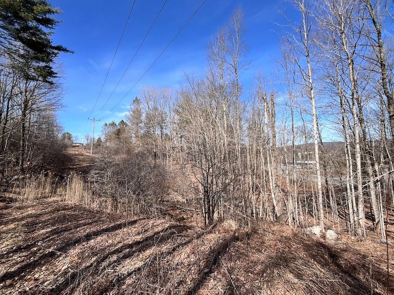 Lewis_26_Somberg Photo 43