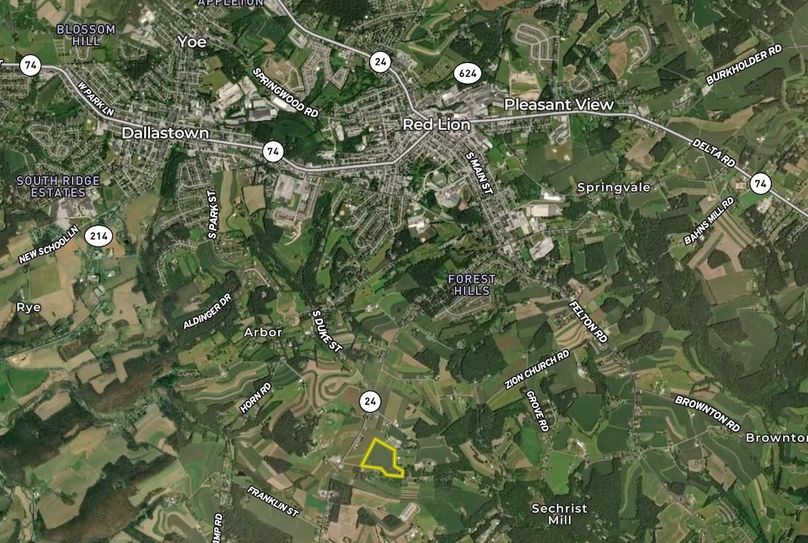 Medium York 22 Krebs