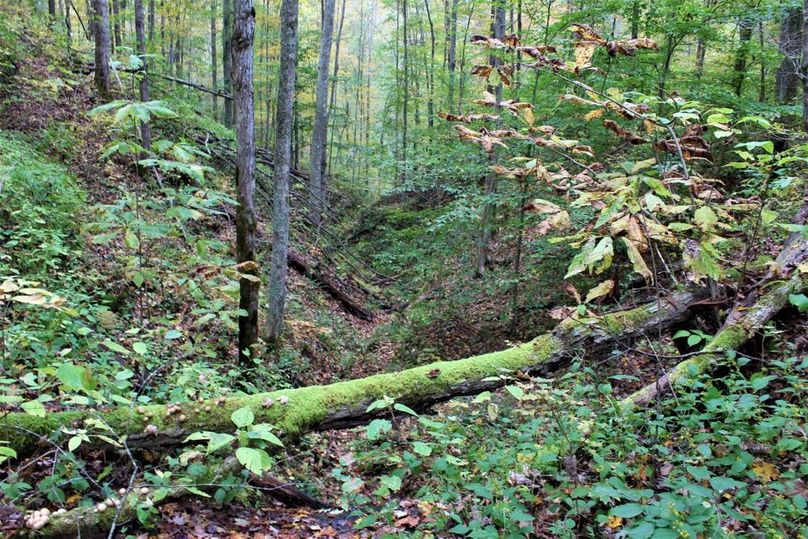 009 big woods draw leading down to the main valley