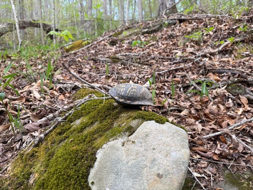 020 getting that 360 view