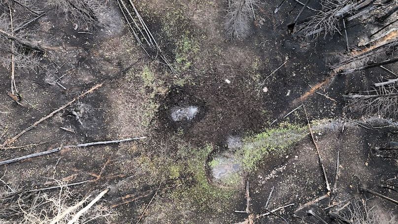 DJI_20250927082611_0024_D